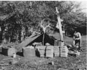 June 15, 1926:  Ernest Jesse Palmer botanizing at Camp McGuire in the Davis Mountains of Texas.  (He undoubtedly named the camp for the ranch foreman who gave him permission to camp there.  The bundles are herbarium specimens of dried plants.)